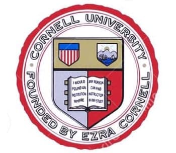 Company brand logo